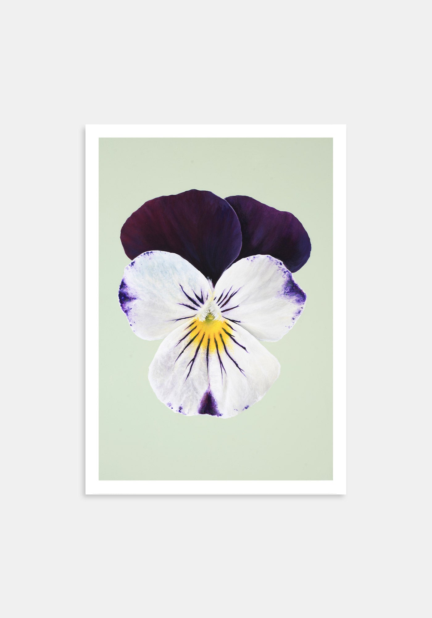 Johnny Jump Up – Kunsttrykk