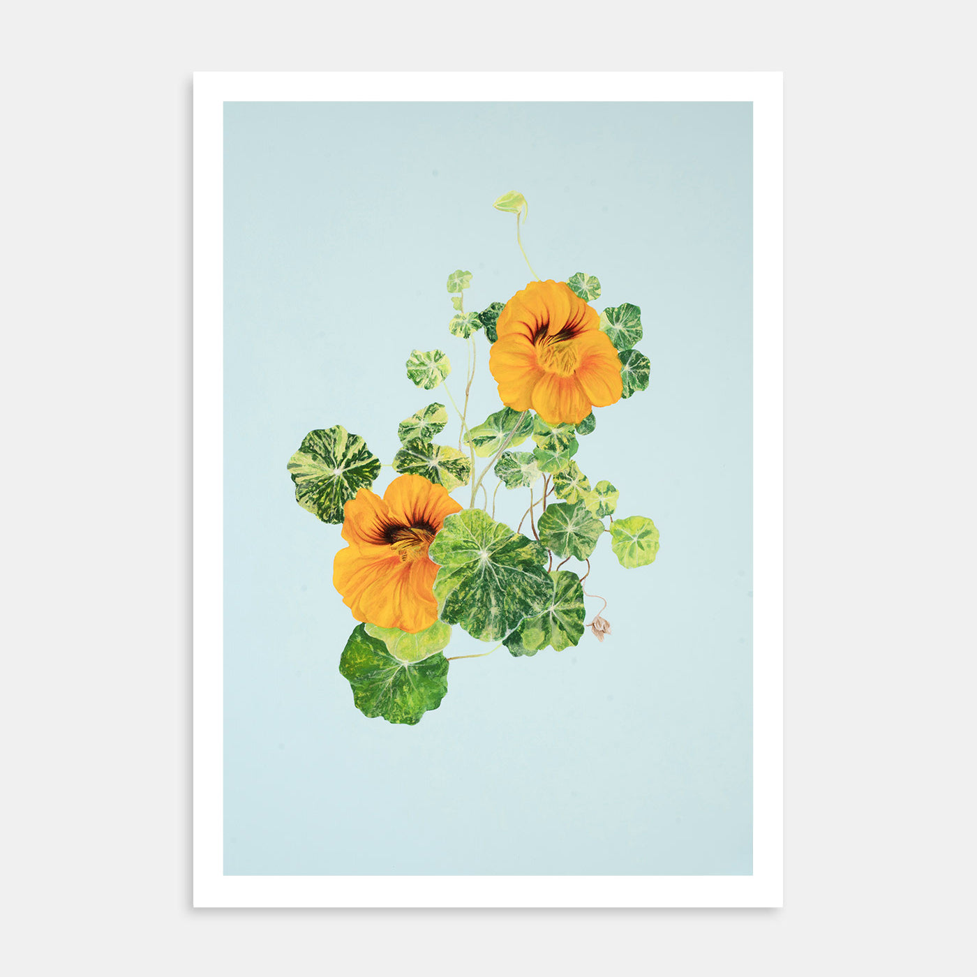 Out of Africa – Kunsttrykk