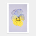Cool Wave Morpho – Kunsttrykk