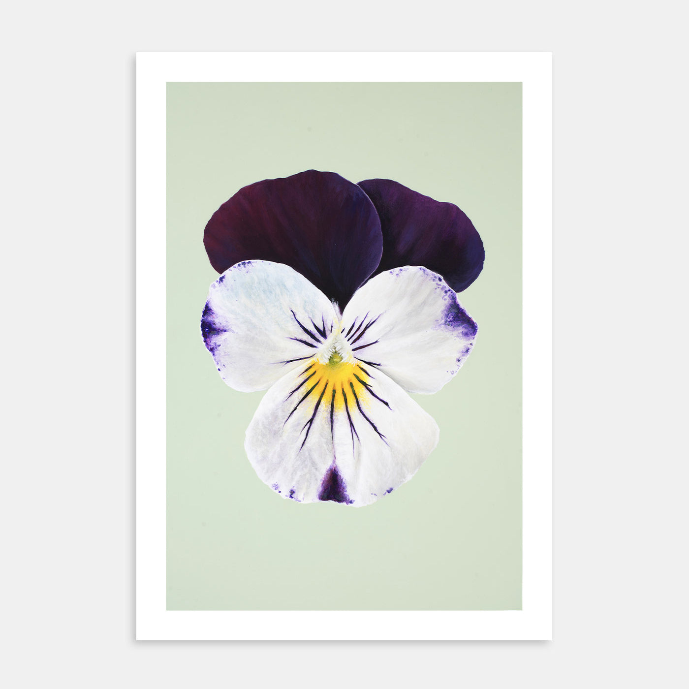 Johnny Jump Up – Kunsttrykk