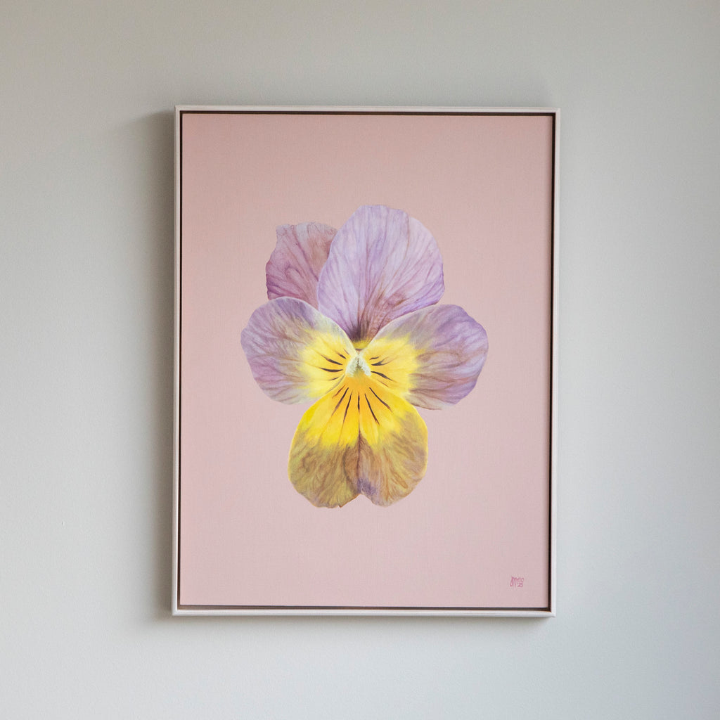 Apricote Antique – Original