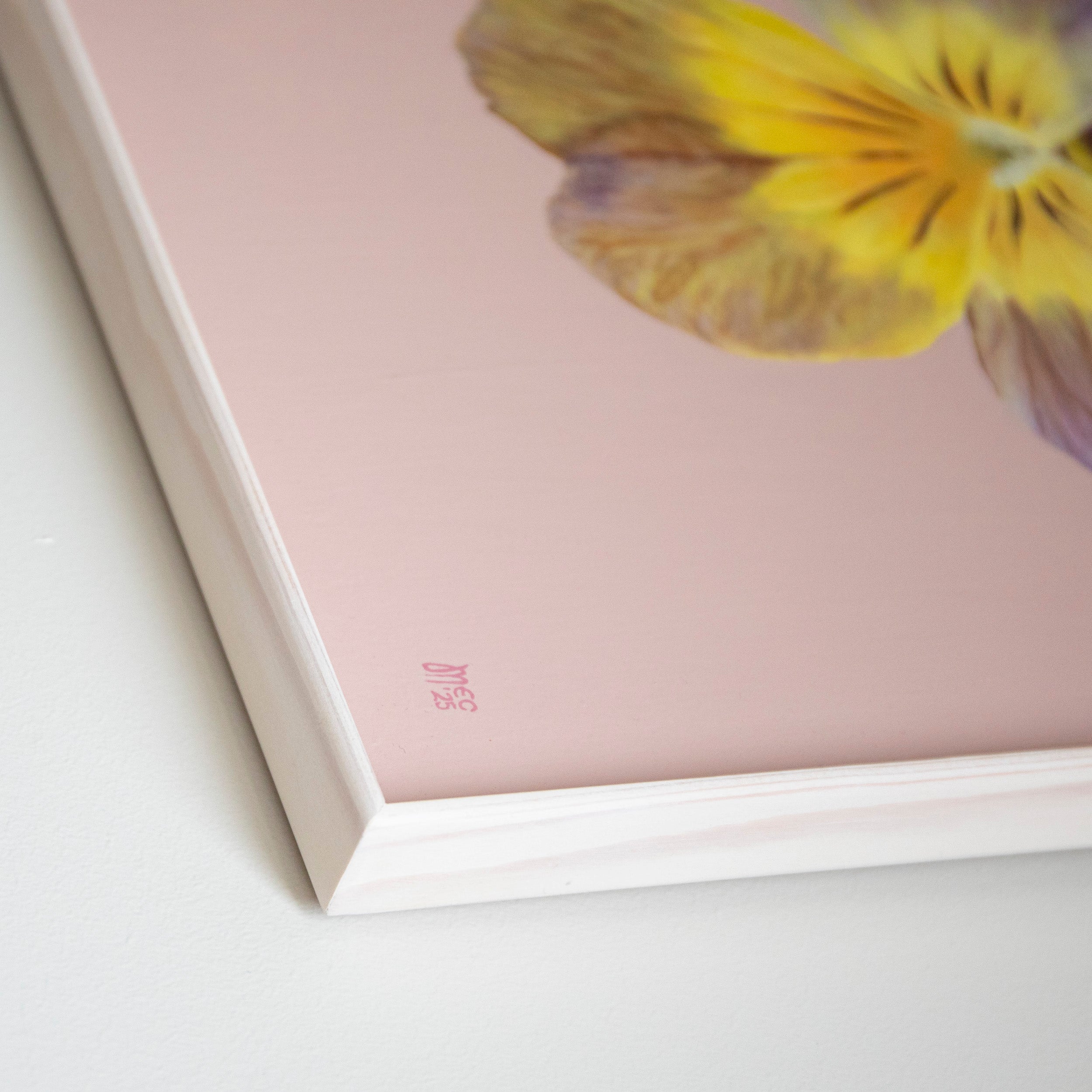 Apricote Antique – Original