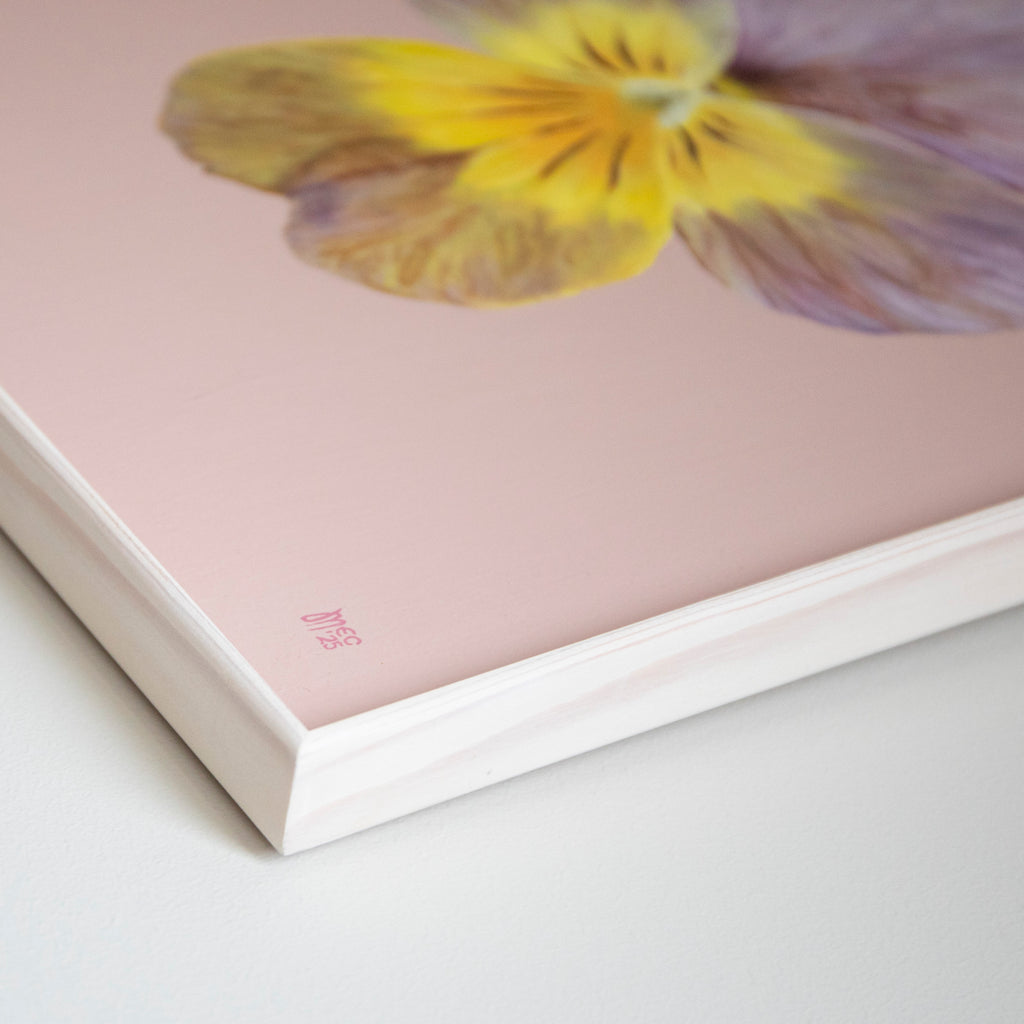 Apricote Antique – Original