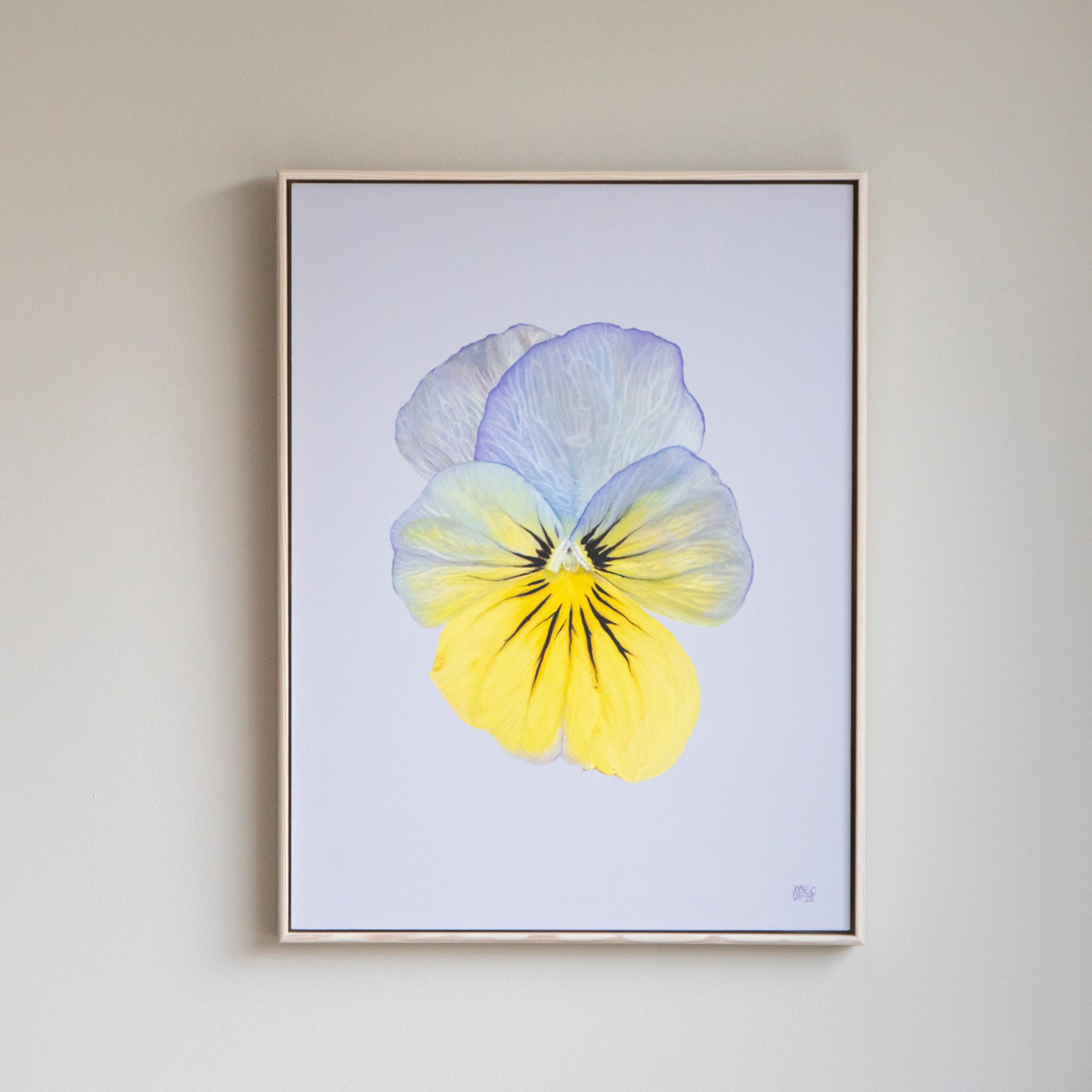 Cool Wave Morpho – Original