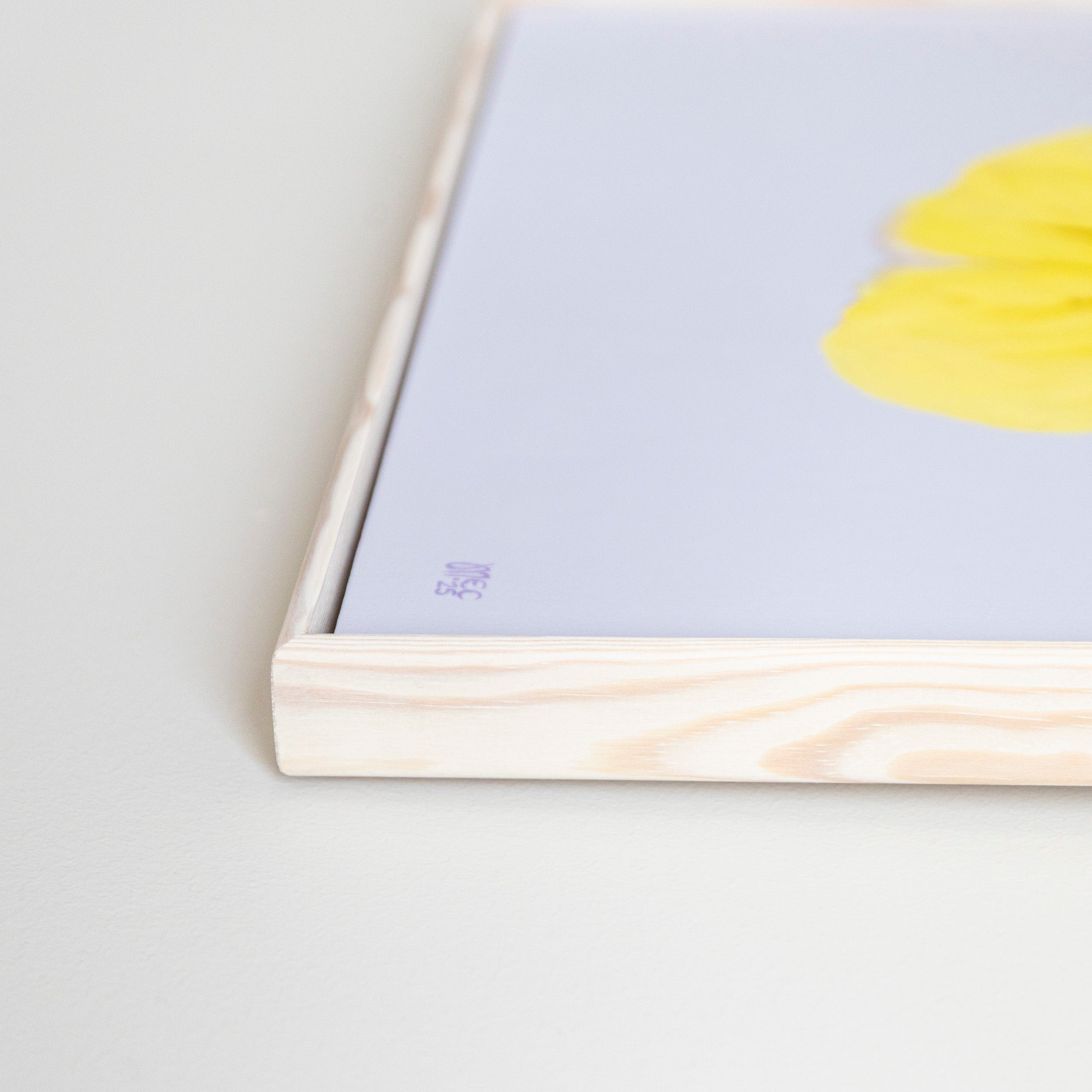 Cool Wave Morpho – Original