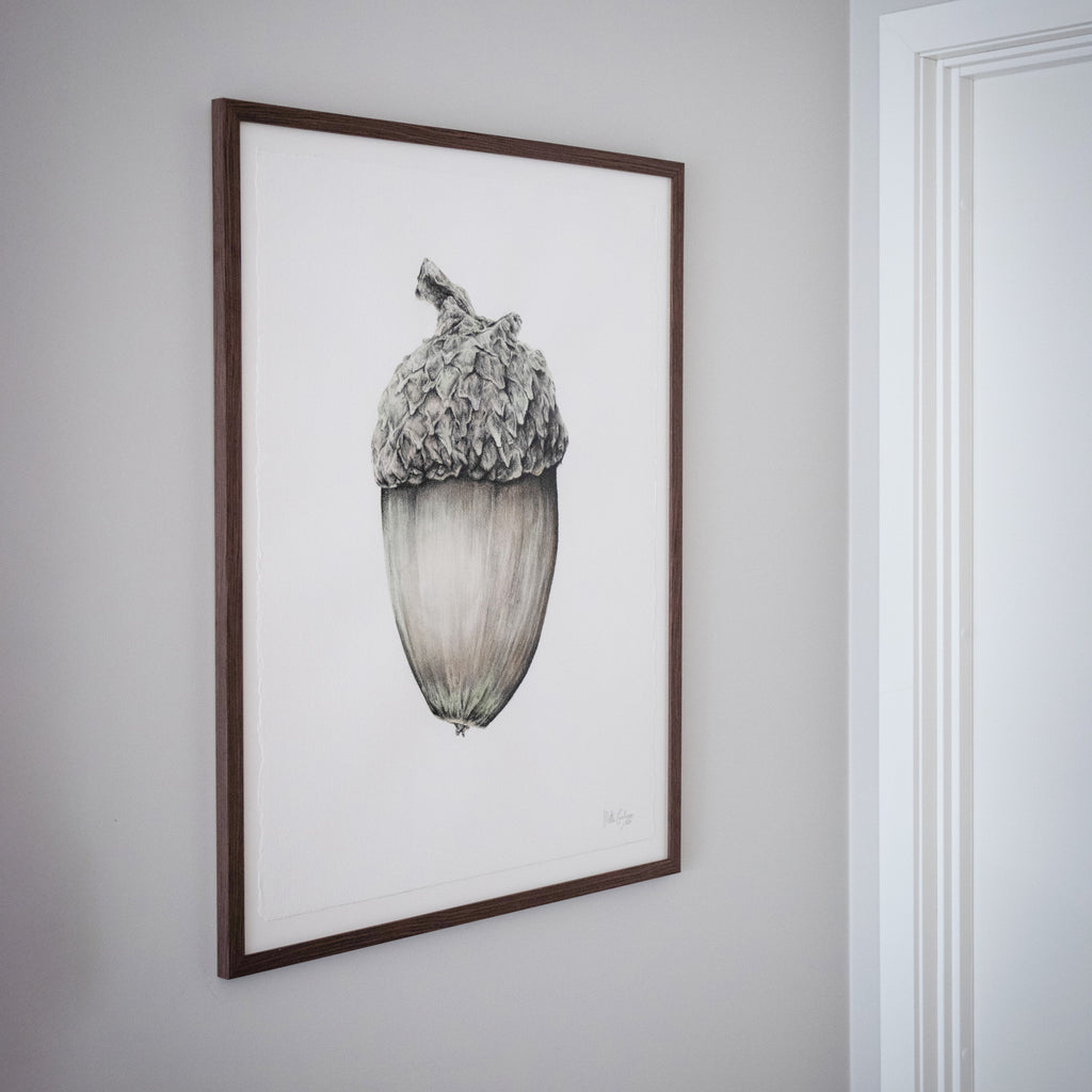 Eikenøtt – Original