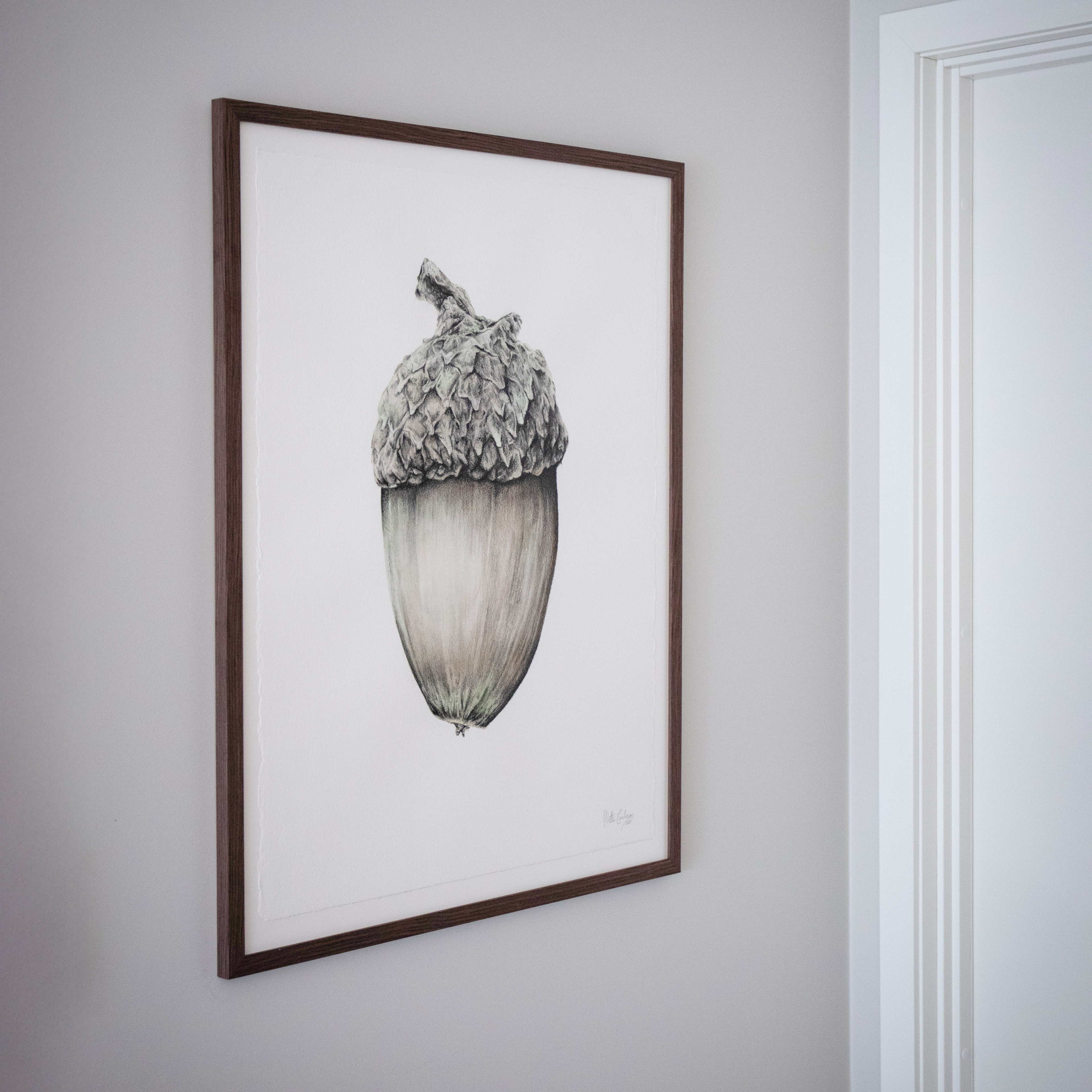 Eikenøtt – Original