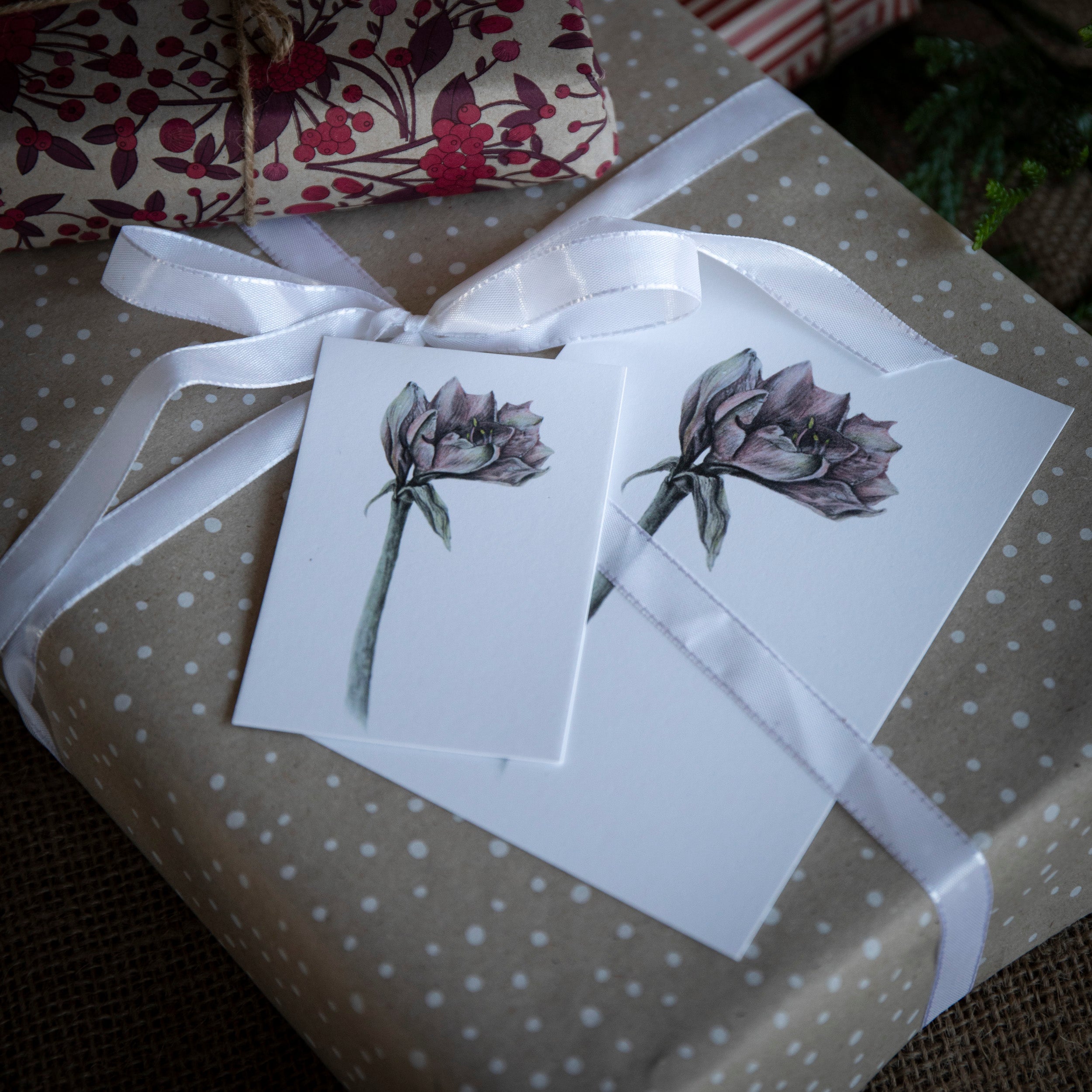 Amaryllis - Kunstkort