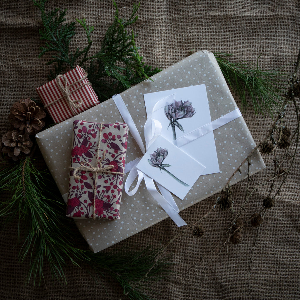 Amaryllis - Kunstkort