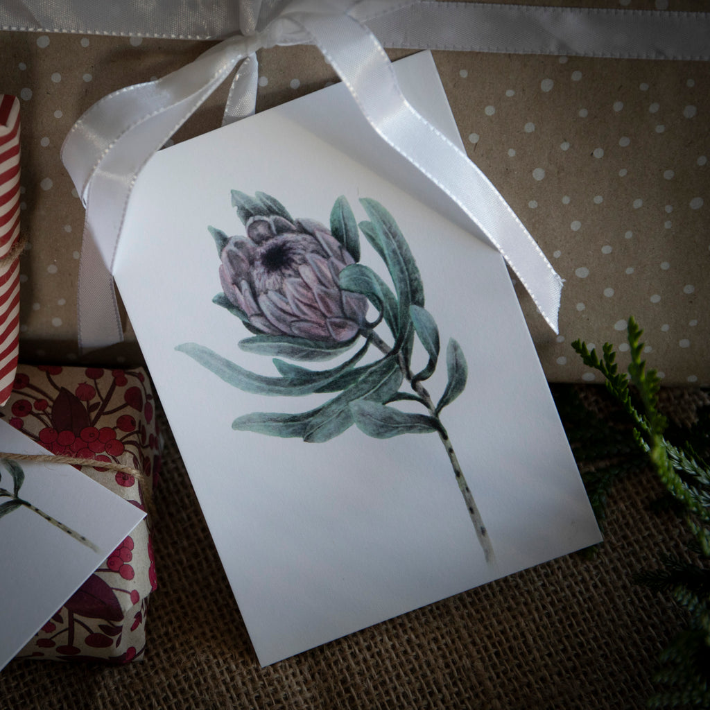 Protea - Kunstkort