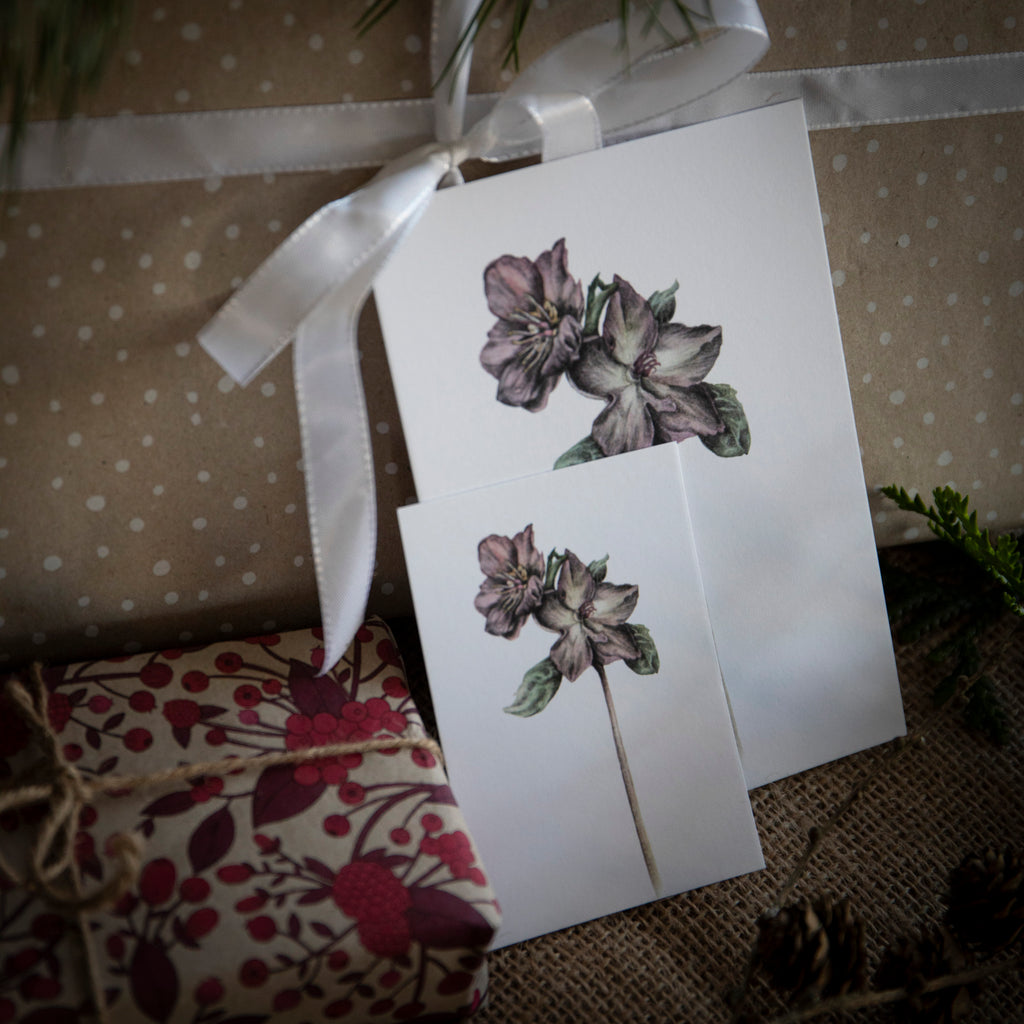 Julerose - Kunstkort