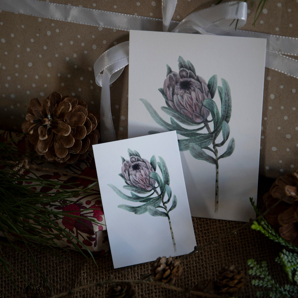 Protea - Kunstkort