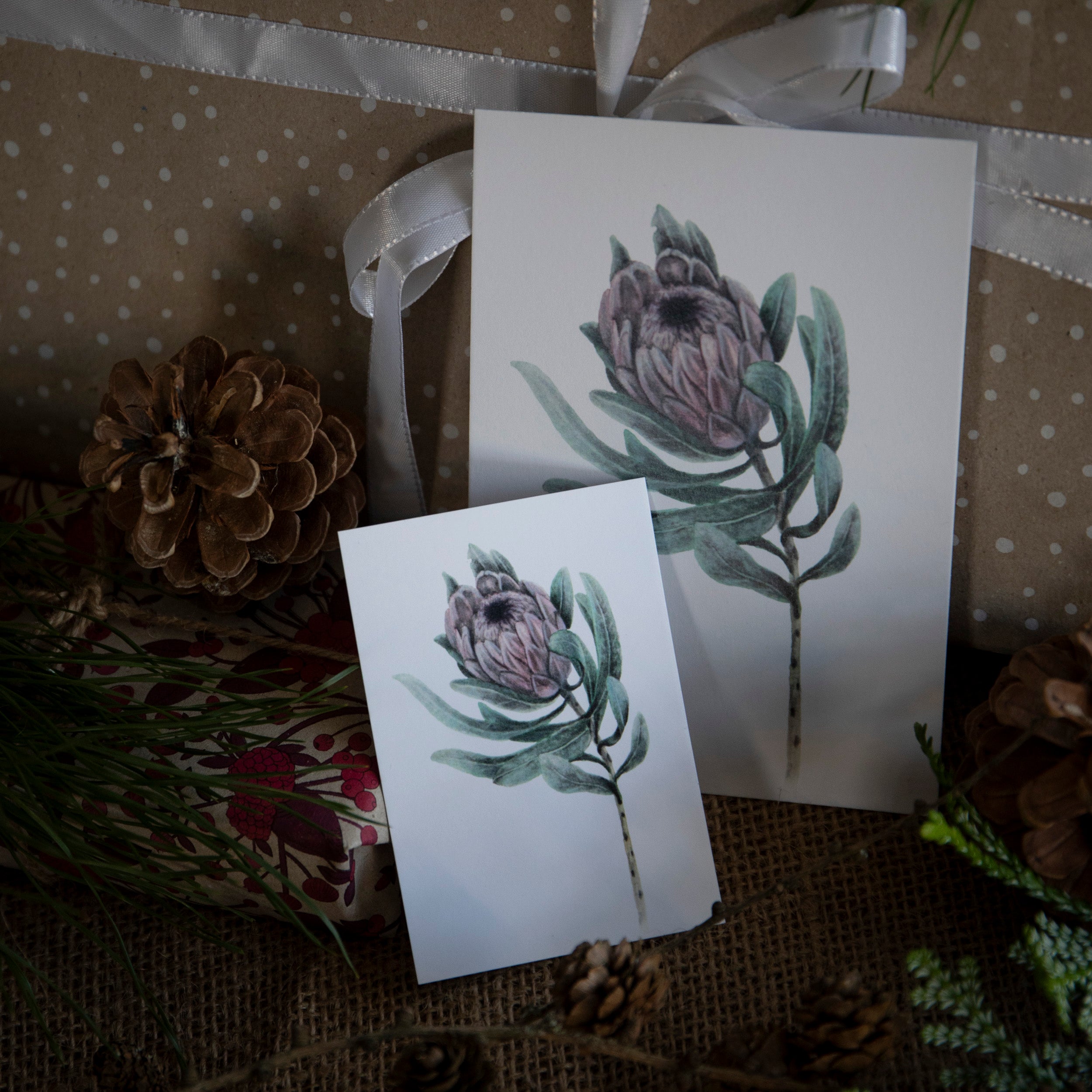 Protea - Kunstkort