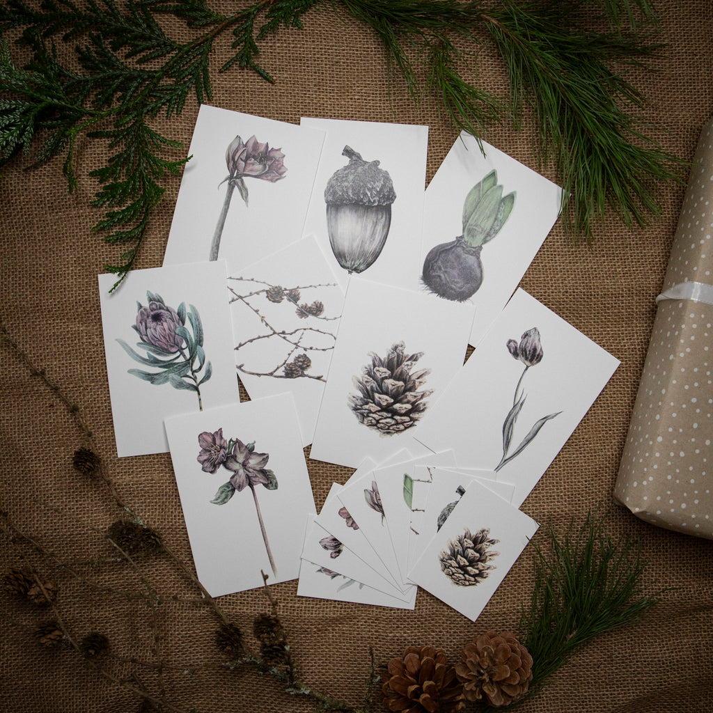 Kortpakke – Jul 2025