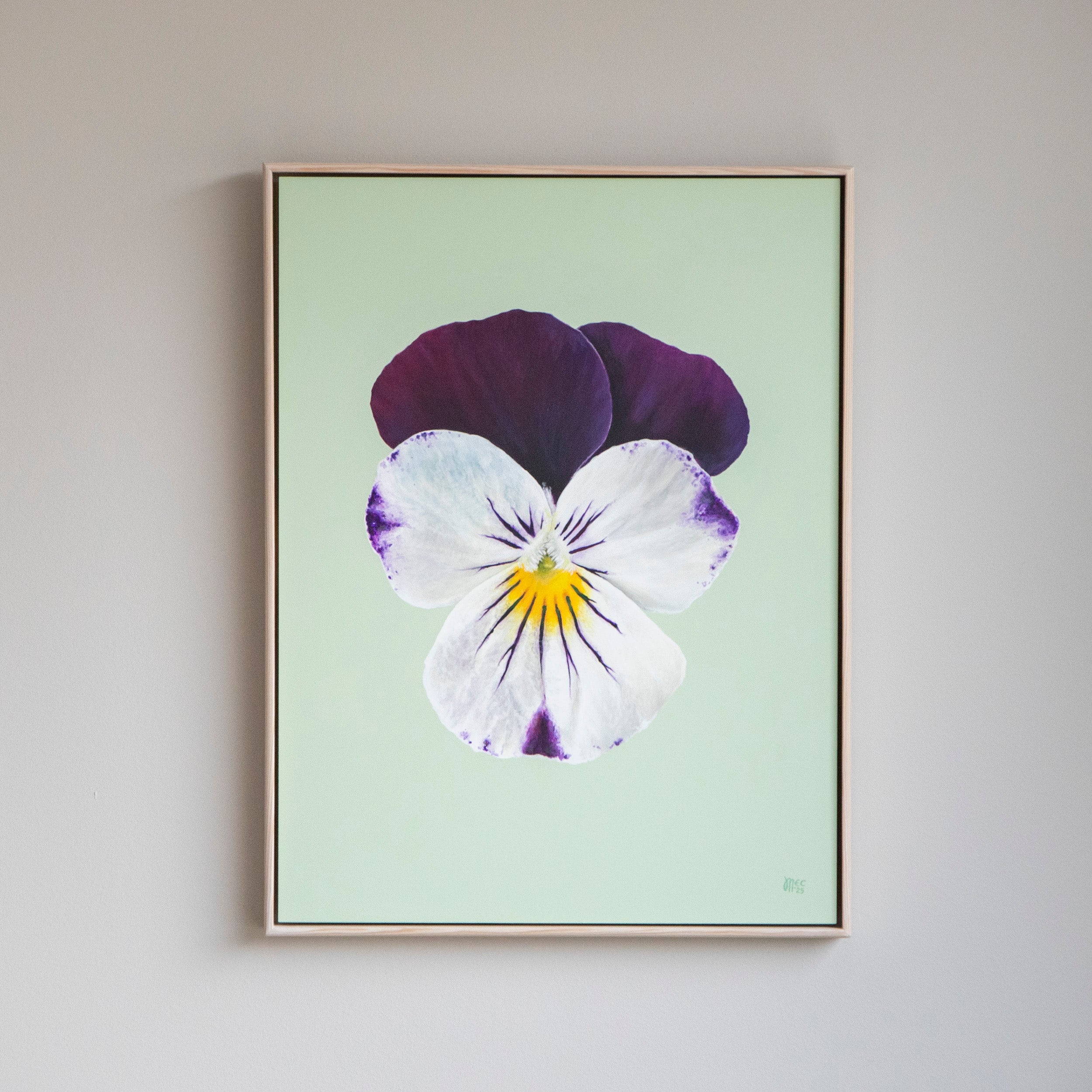 Johnny Jump Up – Original